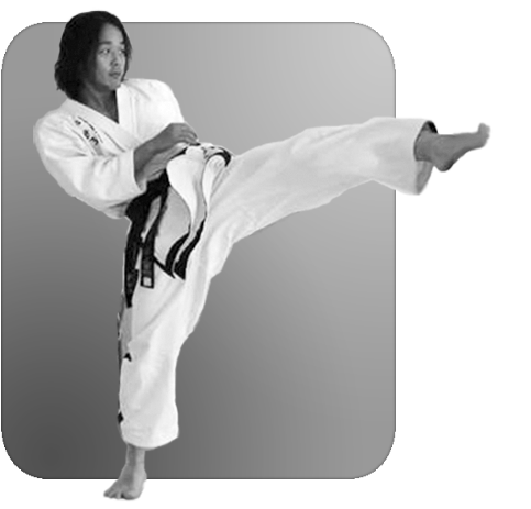 Image of a person doing a front kick.